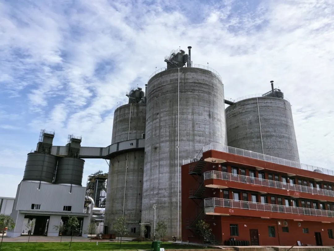 1716514392461926.jpg 3.jpg